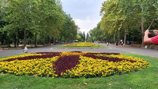 sea-garden
